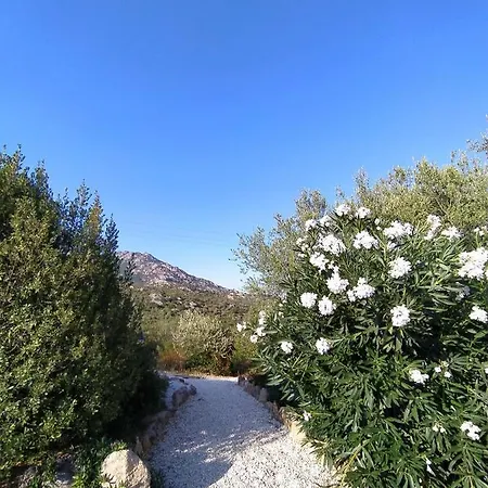 Casagliana אולביה