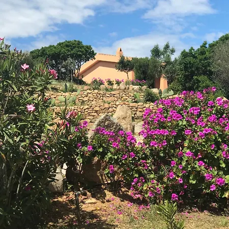 Casagliana 올비아