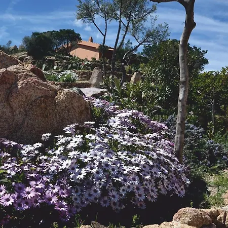 Casagliana Semesteranläggning (resort) Olbia