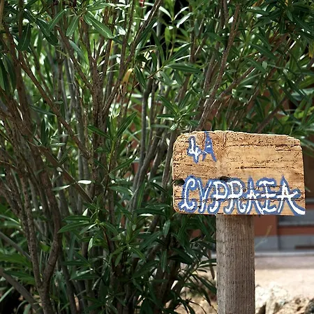 Semesteranläggning (resort) Casagliana 4*