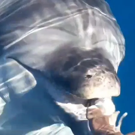 Feriested Casagliana Olbia