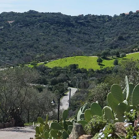 Casagliana Θέρετρο Όλμπια
