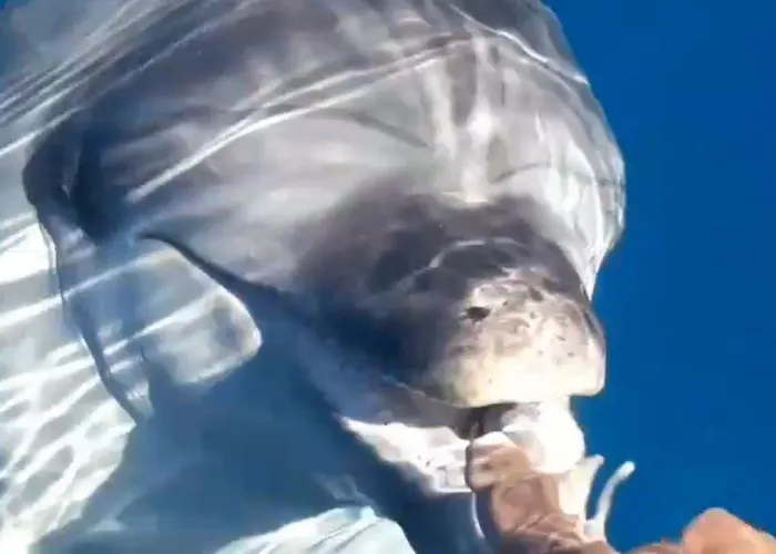 Resort Casagliana Olbia